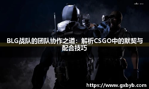 完美体育